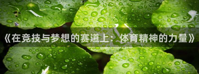 3377体育官网下载招商电话号码查询：《在竞技与梦想