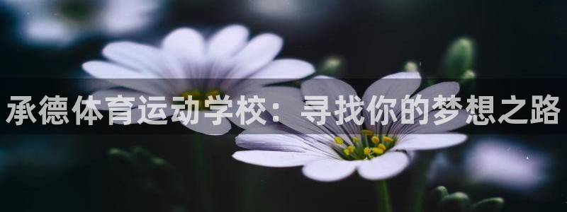 3377体育官网下载招商电话号码查询：承德体育运动学