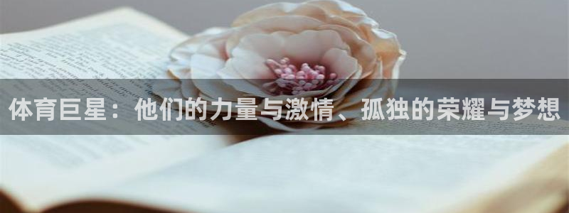 3377体育官方正版app集团：体育巨星：他们的力量与激情、