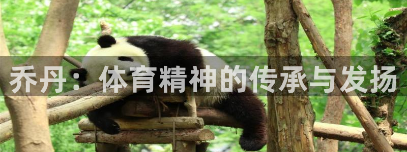 3377体育官方正版app代理