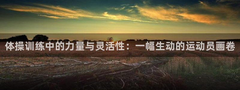 3377体育官网下载平台注册要钱吗是真的吗：体操训练中的力量