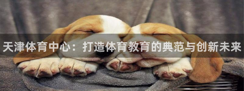 3377体育官方正版app娱乐首页官网下载