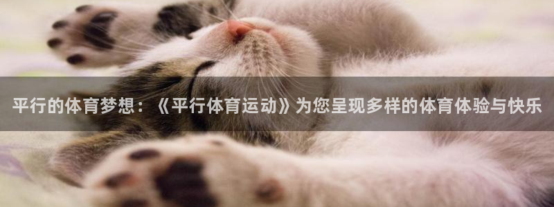 3377体育官方正版app集团官网首页网址：平行的体育梦想：