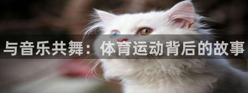 3377体育官方平台体育
