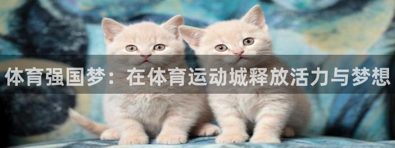 3377体育官方正版app代理：体育强国梦：在体育运动城释放