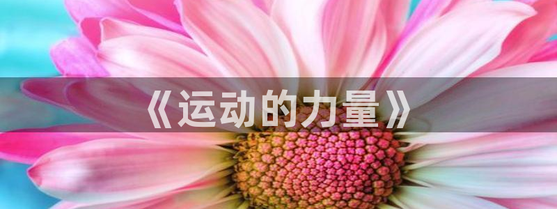 3377体育官方正版app娱乐首页官网下载：《运动的力量》