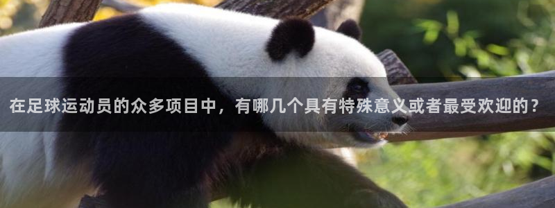 3377体育官网下载平台：在足球运动员的众多项目中，