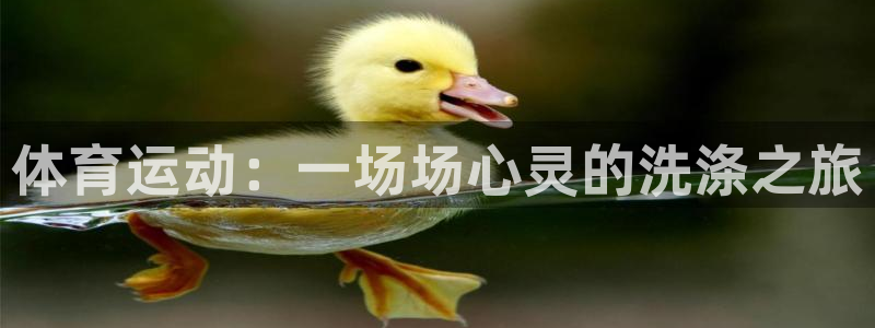 3377体育官网下载招商电话号码是多少啊：体育运动：