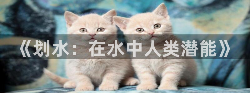 3377体育官网下载是干嘛的公司：《划水：在水中人类潜能》