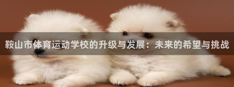 3377体育官网下载平台注册流程图：鞍山市体育运动学