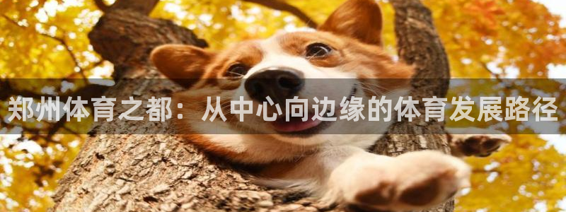 3377体育官网下载平台注册流程视频：郑州体育之都：从中心向