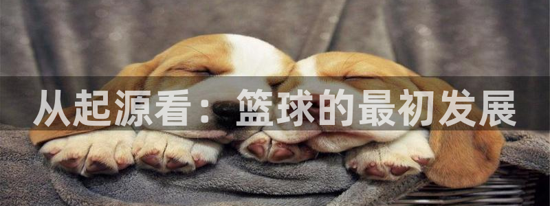 3377体育官方正版app娱乐：从起源看：篮球的最初发展
