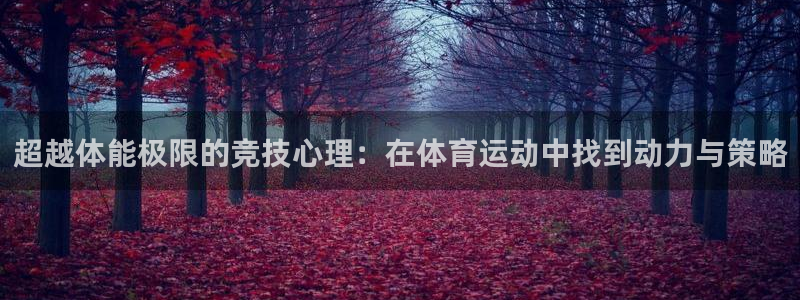 3377体育官网下载平台是正规平台吗安全吗：超越体能极限的竞