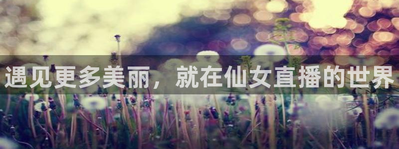 雨燕足球直播体育免费直播