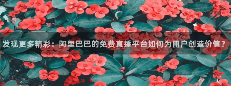 雨燕足球比赛直播app