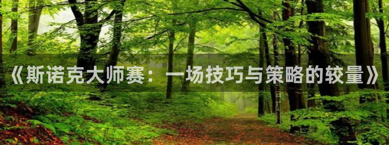 雨燕足球比赛直播网