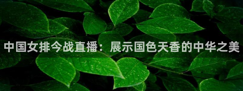 雨燕体育直播无插件高清看球