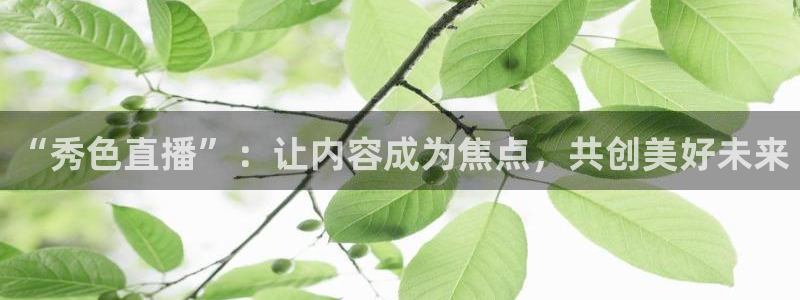雨燕直播体育