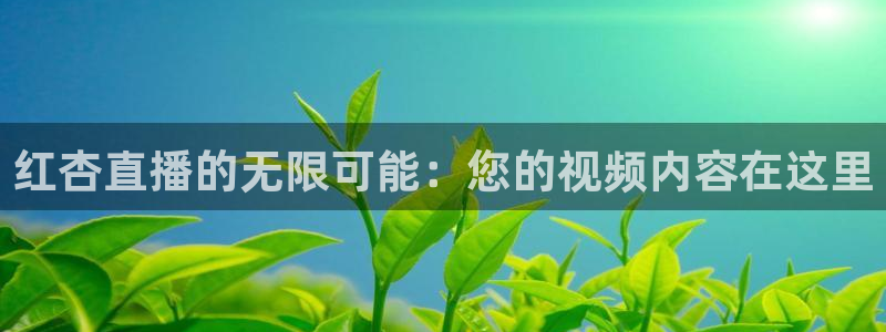 雨燕直播体育在线观看