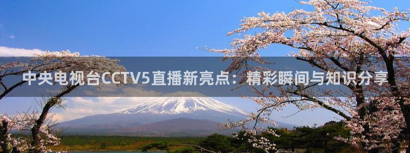 雨燕高清体育直播