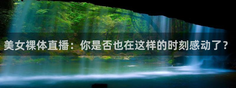 nba视频直播雨燕直播
