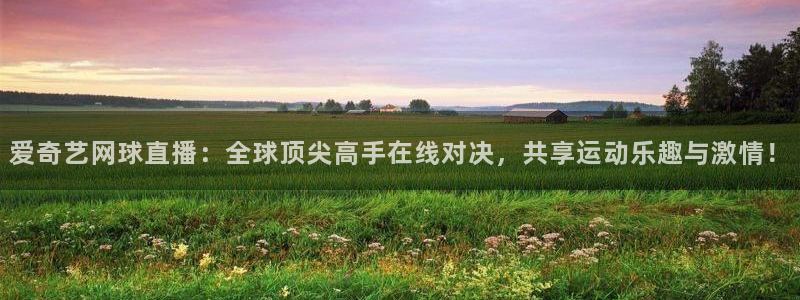 雨燕直播免费足球直播