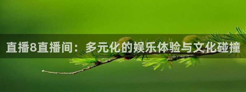 雨燕360体育免费直播 足球