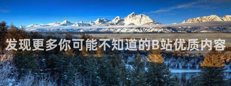 雨燕nba高清免费直播：发现更多你可能不知道的B站优质内容