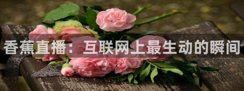 nba雨燕免费直播高清观看：香蕉直播：互联网上最生动的瞬间