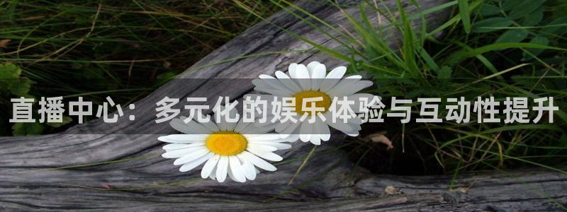 360直播足球直播雨燕足球直播