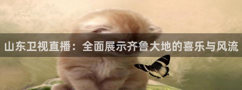 nba雨燕直播免费观看直播软件：山东卫视直播：全面展示齐鲁大地的喜乐与风流