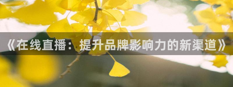 雨燕直播体育直播：《在线直播：提升品牌影响力的新渠道》